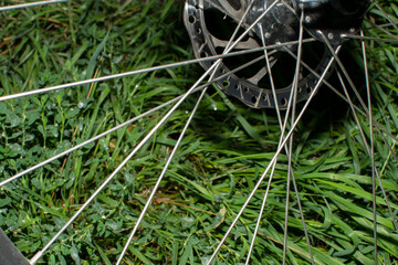 Close up of a bicycle wheel spokes against green grass	