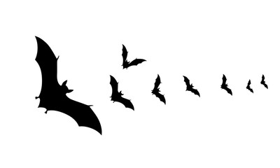 Silhouetted black bats flying in formation against a clean white backdrop for Halloween.