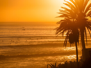 SILHOUETTE, LENS FLARE Surfers wait for waves as golden sun sets in Taghazout, Morocco. Palm trees against orange sky and distant boats in sparkling ocean make a mix of local charm and surf culture.
