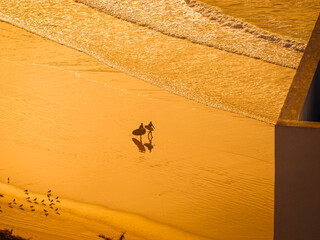 Obraz premium SILHOUETTE: Two surfers walk with their surfboards on wet, golden sand of Moroccan beach. Powerful light of setting sun illuminates the breaking waves, with a flock of small birds scattered nearby.
