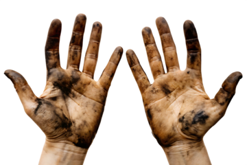Dirty hands with dark soil smudges isolated on a transparent background grime