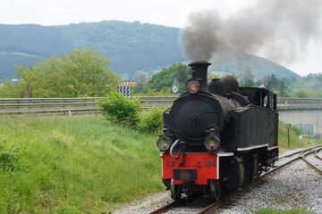 Naklejka premium Locomotora en movimiento en el País Vasco