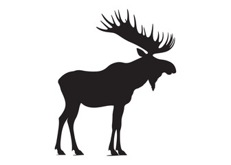 elk moose logo silhouette vector, elk deer moose  vector silhouette illustration, wild animal vector of a elk moose silhouette, bull elk moose logo silhouette vector on white background. 
