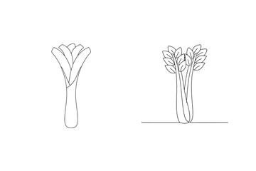 Leek and celery continuous line drawing vegetable plant