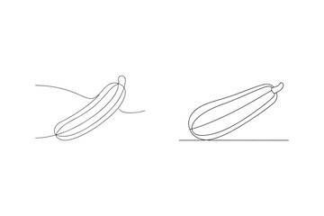 Minimalist continuous line drawing of two zucchini