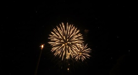 Fototapeta premium Fireworks display against dark night sky