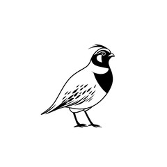 quail. quail simple black and white line art vector logo