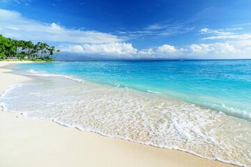 南国の青空とビーチ