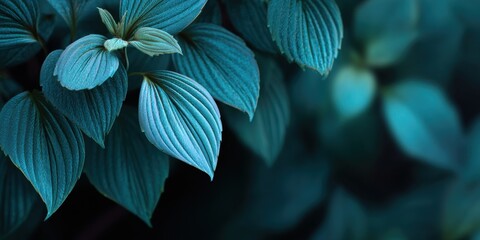 Close-up of vibrant teal leaves