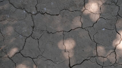 Standing on cracked, dry ground