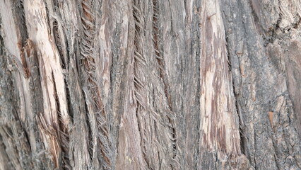 old wooden wall texture