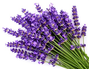 Obraz premium Close-up of a vibrant lavender bouquet