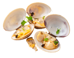 Cooked Clams with Parsley Garnish on Transparent Background