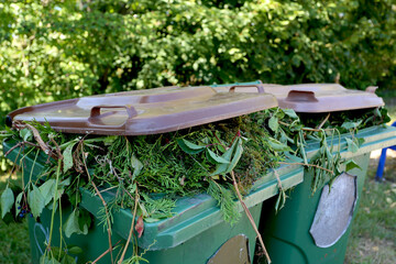 Poubelles remplies de déchets verts de jardin