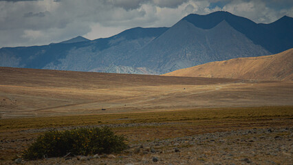 Ladakh Topography _1