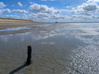 Fossilized Tree Stump and Mont Saint Michel
