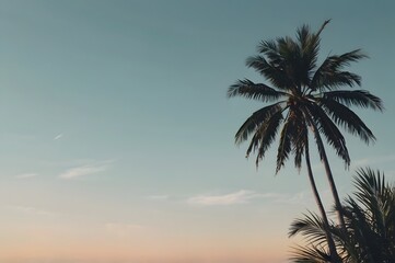 Obraz premium Palm Trees Silhouetted Against Sunset Sky in Tropical Beach Setting