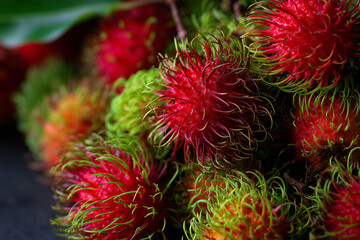Fresh red rambutan fruit with yellowish green hairs, realistic close-up detail