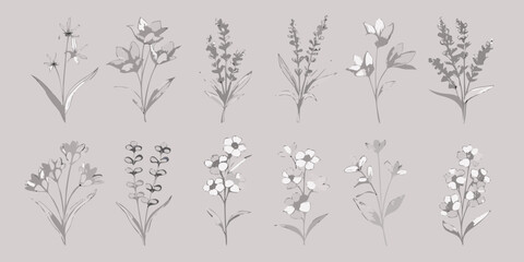 Collection of delicate watercolor floral illustrations in shades of gray on a neutral background