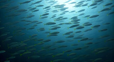School of Fish Swimming in Deep Blue Sea