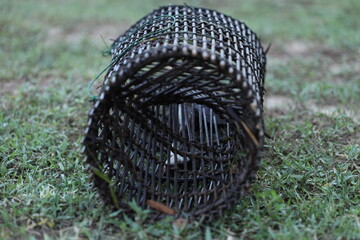 The villagers' fish traps are made from bamboo.