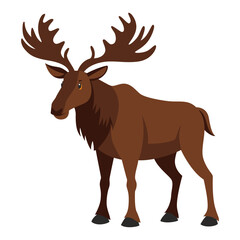 Cartoon moose with big antlers isolated on white background vector illustration