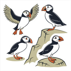 Atlantic puffin silhouettes set. Realistic Fratercula arctica or common puffin birds in different poses. vector birds