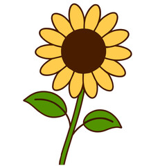 sunflower vector illustration