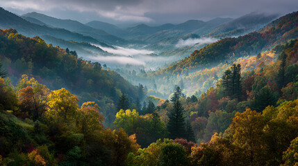 A scenic view of a mountain range covered in trees with fog in the valleys and cloudy sky above