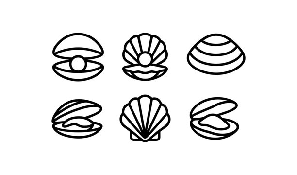 Minimalist shell outline collection: oyster, clam, pearl, scallop icons