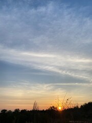 Fototapeta premium sunset in the forest