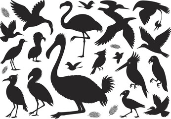 Collection of bird silhouettes in various flying, perched, and standing poses with feather designs, black wildlife vector illustration for nature artwork