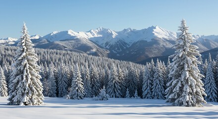 Snow-laden Fir Trees and Distant Peaks: A Winter Wonderland Landscape