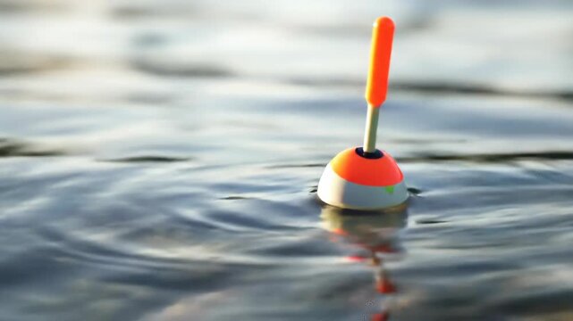 Fishing float in water, close-up shot of a bobber floating outdoors