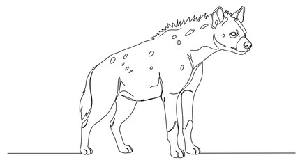 Hyena outline illustration in black and white on solid background  