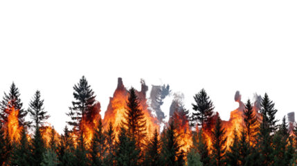A vivid depiction of a forest engulfed in flames, showcasing the destructive power of wildfires against a backdrop of darkened trees and bright flames.