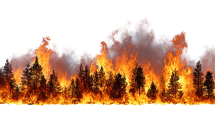 A dramatic scene of wildfire engulfing a dense forest, with towering flames and thick smoke billowing into the sky, showcasing the destructive power of nature.