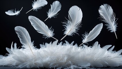 Collection White Feathers Resting Bed