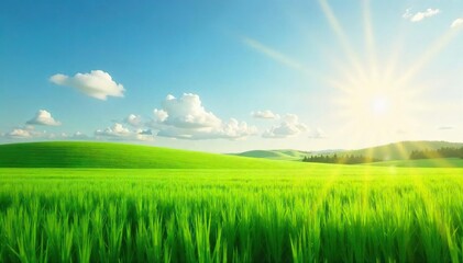 Fototapeta premium Serene green field, bathed in sunlight, stretches to the horizon Perfect for nature, agriculture, or environmental themes Lush grass, idyllic landscape, vibrant green , flora, stem, leaf
