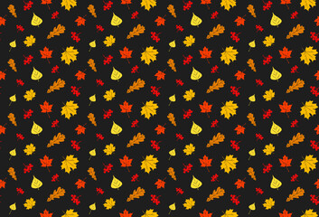 Autumn vector pattern on black background.. Seamless foliage pattern. Hand drawn foliage pattern. Autumn foliage print. 