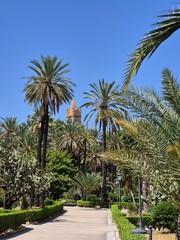 Sycylia - Włochy - Palermo, Cefalu, Katania, Taormina, Mesyna. Piękne widoki, plaże, miasta i góry