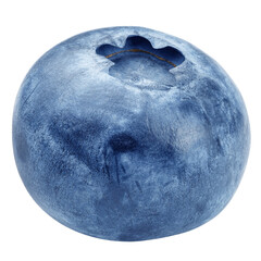 Blueberry isolated on white background, full depth of field © grey