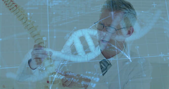 Examining scientist in lab coat holding spine and DNA models in lab, with holographic data
