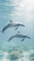 Fototapeta premium Two dolphins swim gracefully above a vibrant coral reef in clear, sunlit water