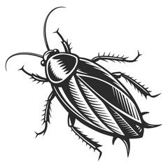 Obraz premium Stylized black and white illustration of a cockroach insect