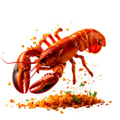 Dynamic Shot of a Cooked Lobster Floating Above Crispy Breadcrumbs isolated on white
