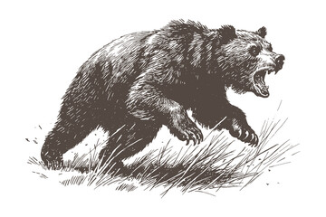 Engraving illustration of roaring bear with open mouth, vintage wildlife sketch symbolizing power, wilderness, and nature strength.
