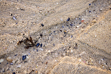 sand close up north europe