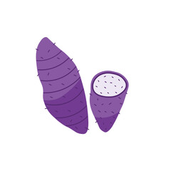 Taro Fruit Vector, Taro for making desserts and snacks.