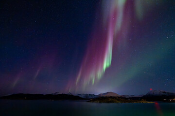 northern lights at the ocean